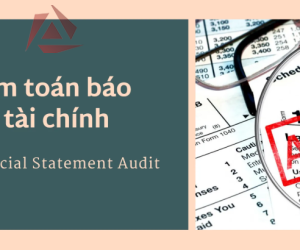 KIỂM TOÁN BÁO CÁO TÀI CHÍNH