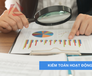 KIỂM TOÁN HOẠT ĐỘNG