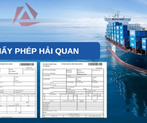 GIẤY PHÉP HẢI QUAN