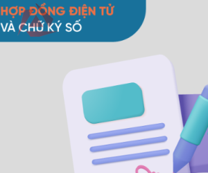 DỊCH VỤ HĐĐT - CKS