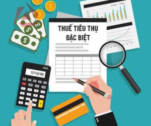 KHAI VÀ NỘP THUẾ TIÊU THỤ ĐẶC BIỆT