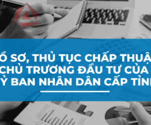 CHẤP THUẬN NHÀ ĐẦU TƯ CỦA UBND CẤP TỈNH