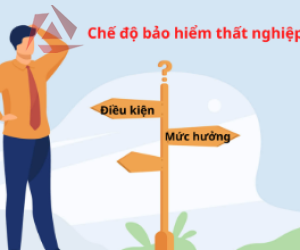 HƯỞNG BẢO HIỂM THẤT NGHIỆP