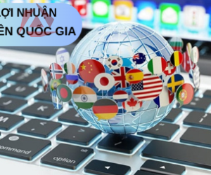 LỢI NHUẬN LIÊN QUỐC GIA