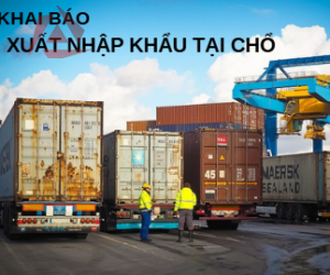 KHAI BÁO XUẤT NHẬP KHẨU TẠI CHỔ