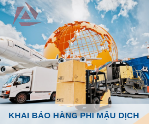 KHAI BÁO HÀNG PHI MẬU DỊCH