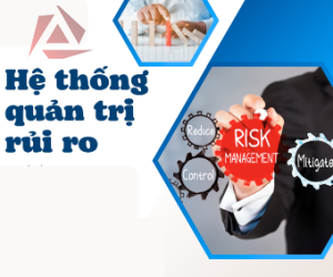 ĐÁNH GIÁ HỆ THỐNG QUẢN TRỊ RỦI RO