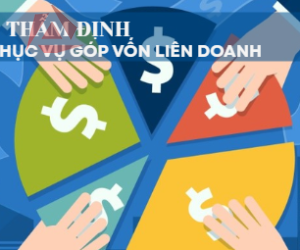 THẨM ĐỊNH PHỤC VỤ GÓP VỐN LIÊN DOANH