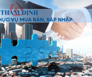 THẨM ĐỊNH PHỤC VỤ MUA BÁN, SÁP NHẬP