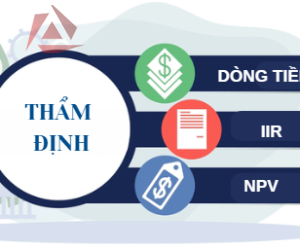 THẨM ĐỊNH DÒNG TIỀN VÀ IRR, NPV