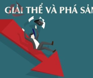 THẨM ĐỊNH PHỤC VỤ GIẢI THỂ, PHÁ SẢN